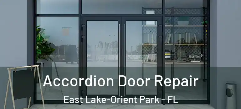 Accordion Door Repair East Lake-Orient Park - FL