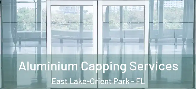 Aluminium Capping Services East Lake-Orient Park - FL