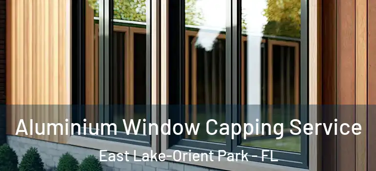 Aluminium Window Capping Service East Lake-Orient Park - FL