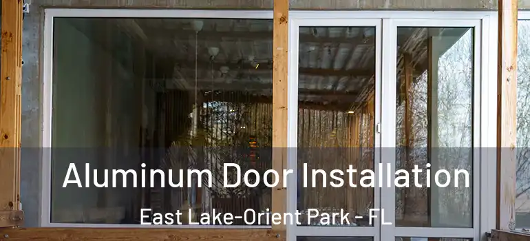 Aluminum Door Installation East Lake-Orient Park - FL