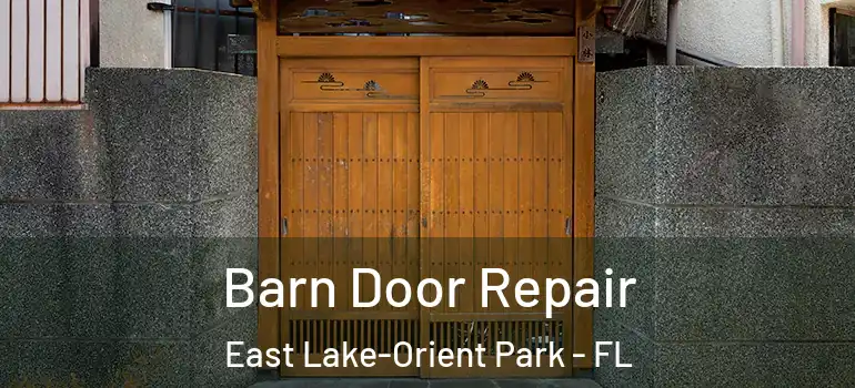 Barn Door Repair East Lake-Orient Park - FL