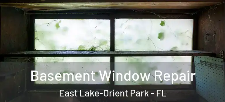Basement Window Repair East Lake-Orient Park - FL
