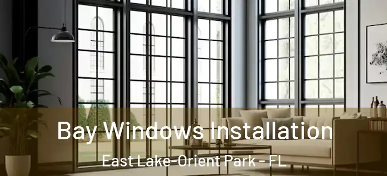 Bay Windows Installation East Lake-Orient Park - FL