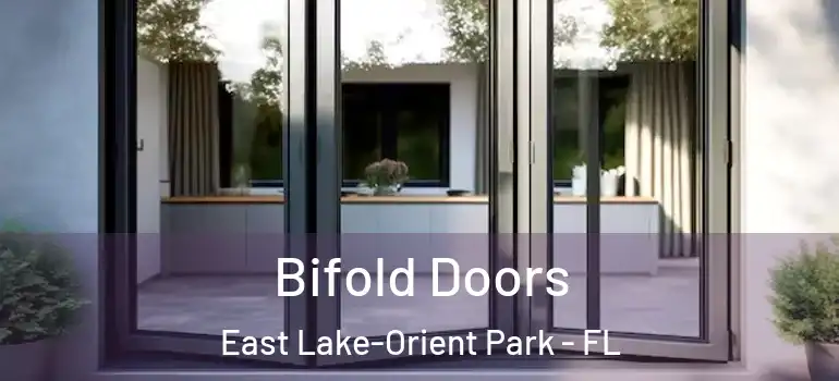 Bifold Doors East Lake-Orient Park - FL
