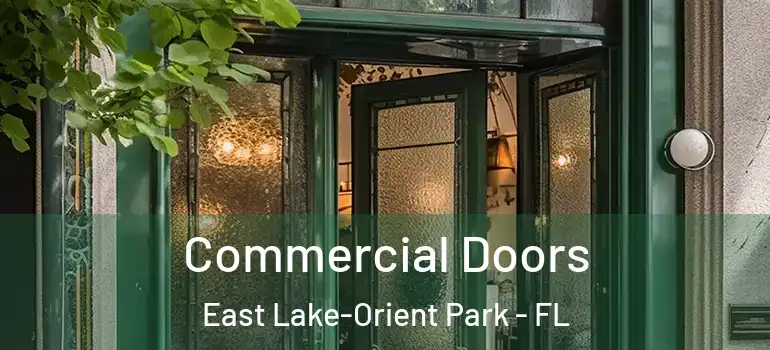 Commercial Doors East Lake-Orient Park - FL