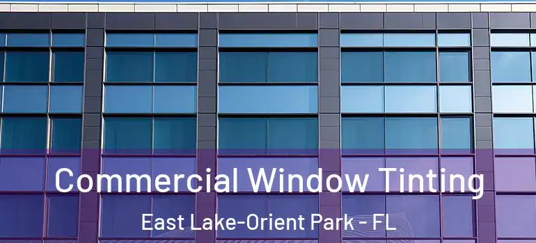 Commercial Window Tinting East Lake-Orient Park - FL