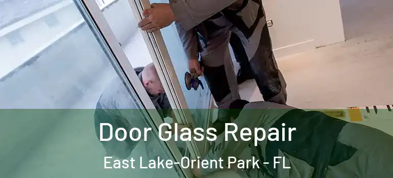 Door Glass Repair East Lake-Orient Park - FL