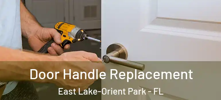 Door Handle Replacement East Lake-Orient Park - FL