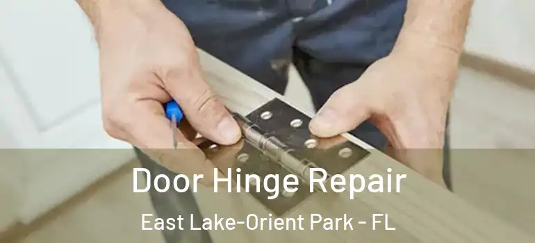 Door Hinge Repair East Lake-Orient Park - FL
