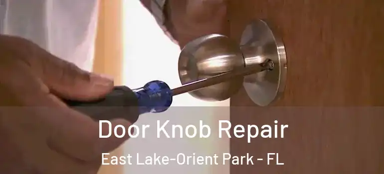 Door Knob Repair East Lake-Orient Park - FL