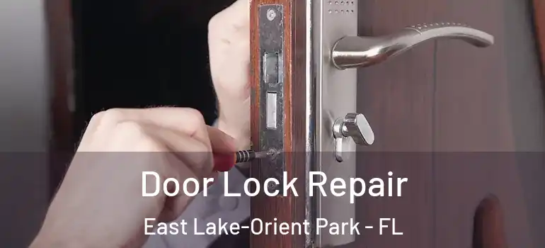 Door Lock Repair East Lake-Orient Park - FL