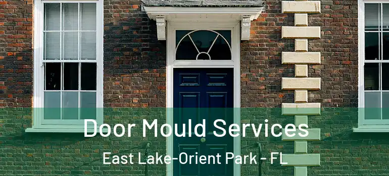 Door Mould Services East Lake-Orient Park - FL