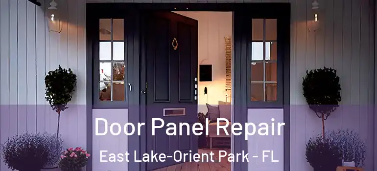 Door Panel Repair East Lake-Orient Park - FL