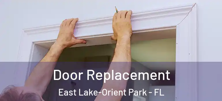 Door Replacement East Lake-Orient Park - FL