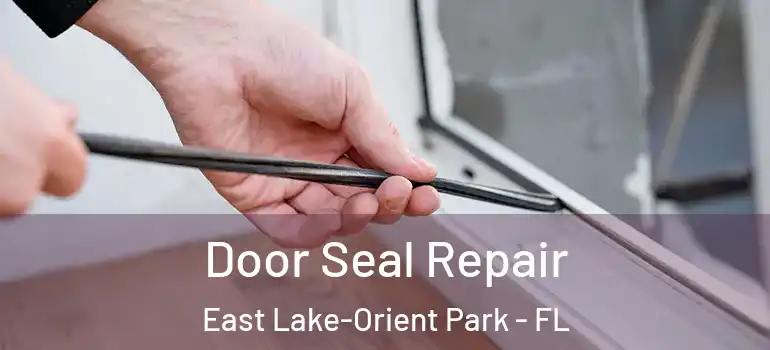 Door Seal Repair East Lake-Orient Park - FL