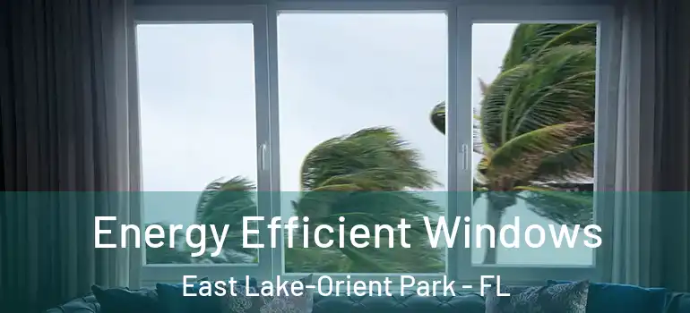 Energy Efficient Windows East Lake-Orient Park - FL