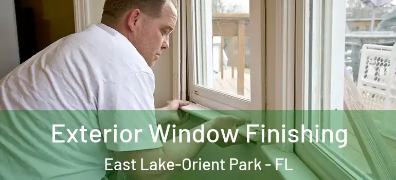 Exterior Window Finishing East Lake-Orient Park - FL