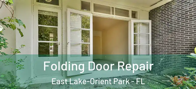 Folding Door Repair East Lake-Orient Park - FL
