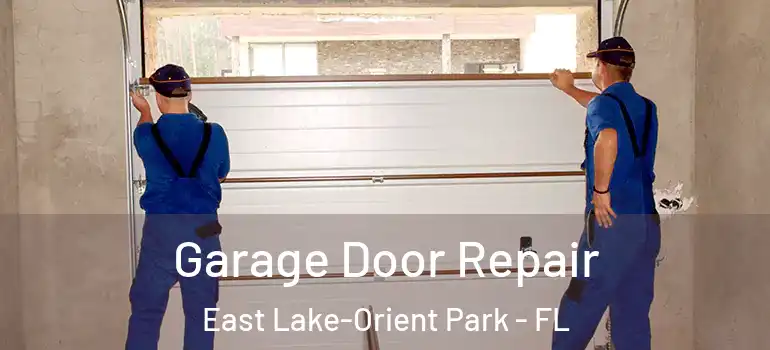 Garage Door Repair East Lake-Orient Park - FL