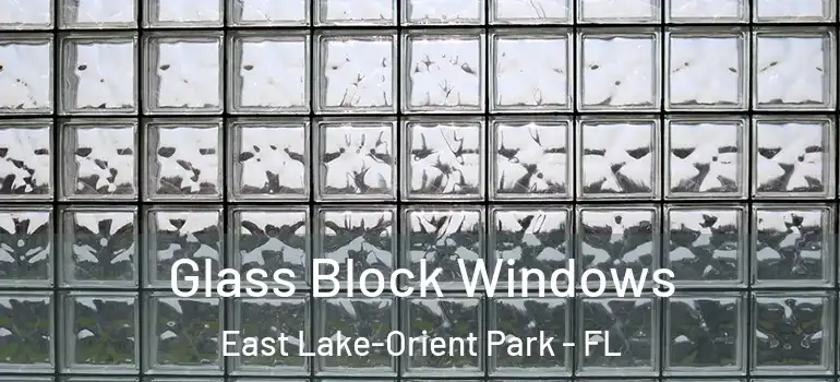 Glass Block Windows East Lake-Orient Park - FL