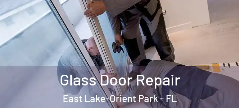 Glass Door Repair East Lake-Orient Park - FL