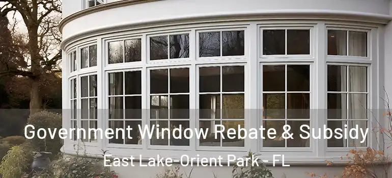 Government Window Rebate & Subsidy East Lake-Orient Park - FL