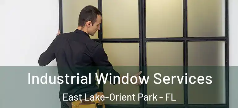 Industrial Window Services East Lake-Orient Park - FL