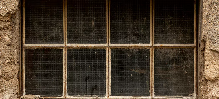 Traditional Double Front Doors in East Lake-Orient Park, FL
