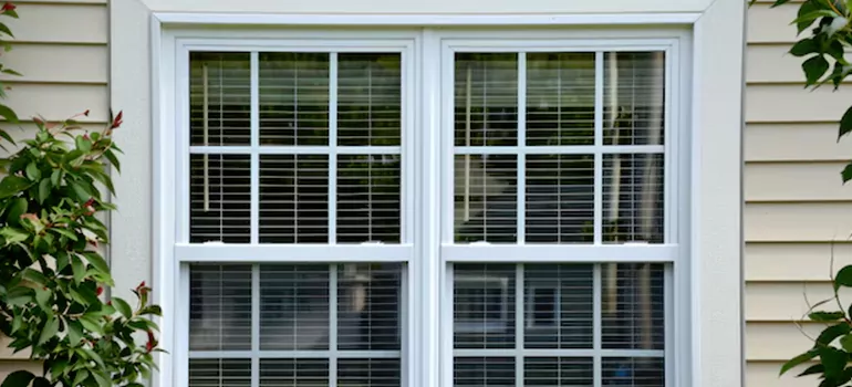 Custom Double Hung Windows in East Lake-Orient Park, FL