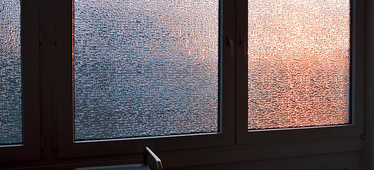 Frosted Glass Window Replacement in East Lake-Orient Park, FL