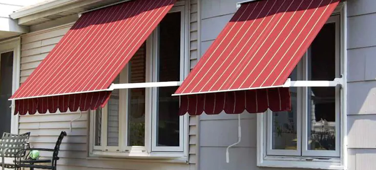 Government Rebate Window Replacement in East Lake-Orient Park, FL