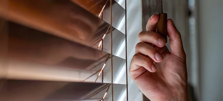 Double Roller Blinds in East Lake-Orient Park, FL