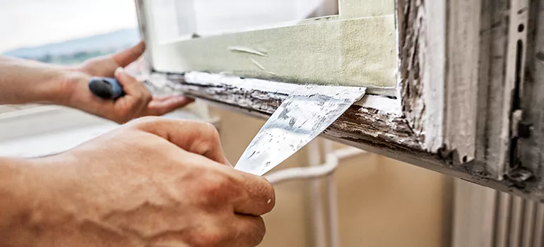 Exterior Window Frame Repair in East Lake-Orient Park, FL