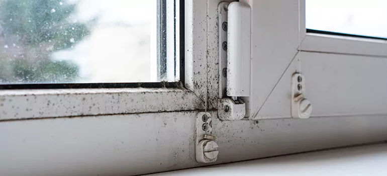 East Lake-Orient Park, FL