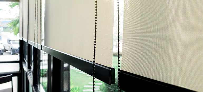 Blackout Window Shades in East Lake-Orient Park, FL