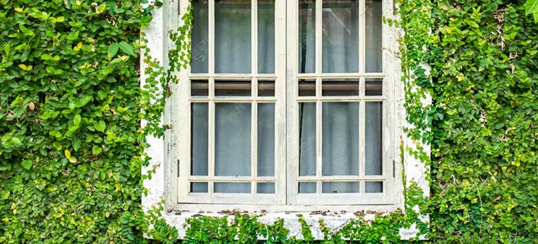 Garden Window Repair Near Me in East Lake-Orient Park, FL