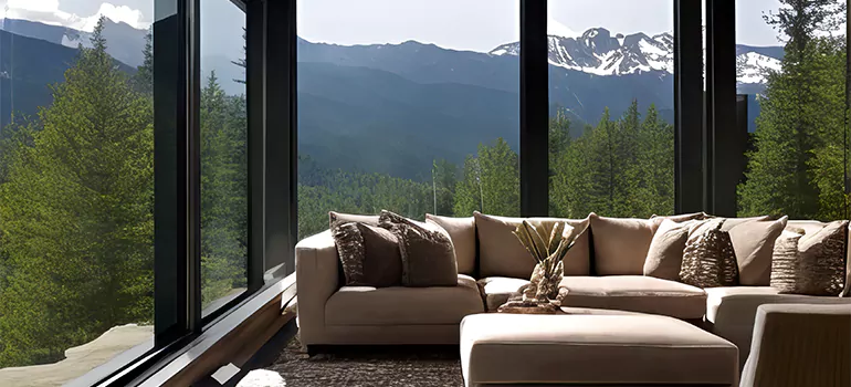 Picture Window Maintenance in East Lake-Orient Park, FL