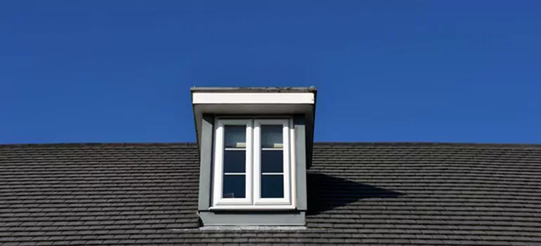 Roof Window Installation in East Lake-Orient Park, FL