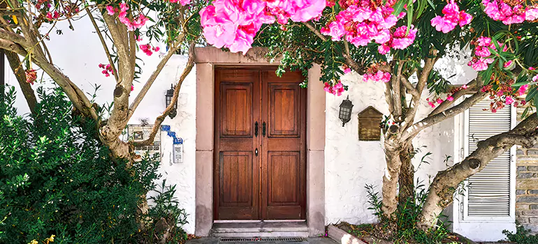 Traditional 4 Panel Internal Doors in East Lake-Orient Park, FL