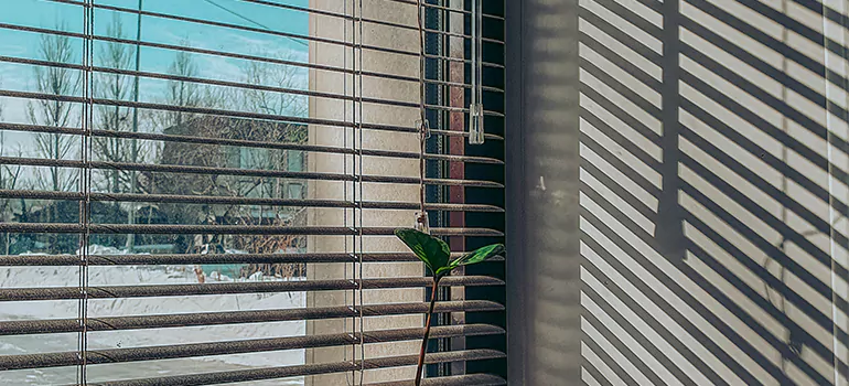 Commercial Window Blinds in East Lake-Orient Park, FL