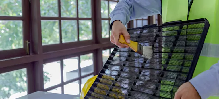 Traditional Window Grille Installation Options in East Lake-Orient Park, FL