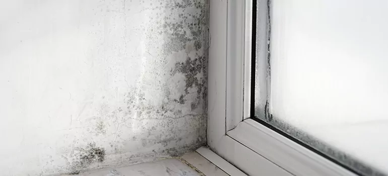 East Lake-Orient Park, FL