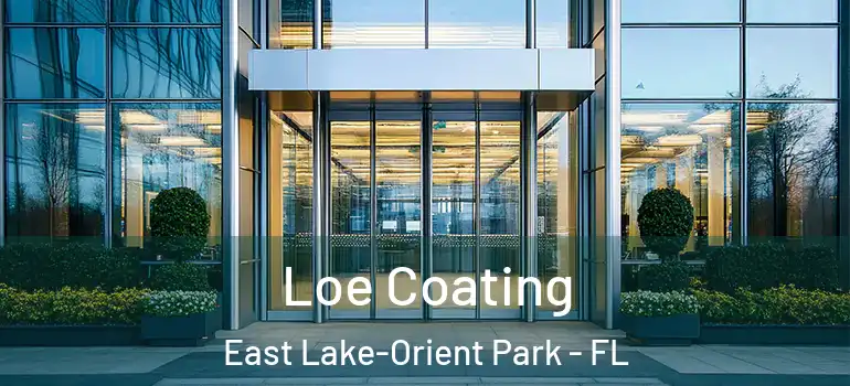 Loe Coating East Lake-Orient Park - FL