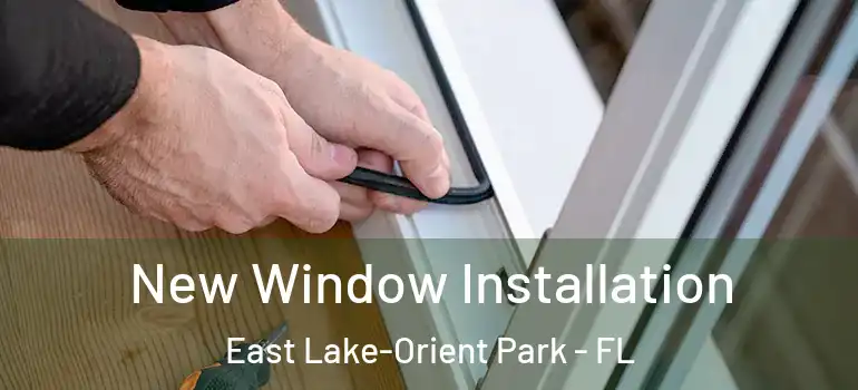 New Window Installation East Lake-Orient Park - FL