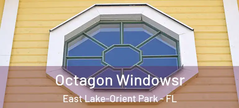 Octagon Windowsr East Lake-Orient Park - FL