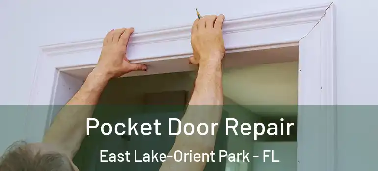 Pocket Door Repair East Lake-Orient Park - FL