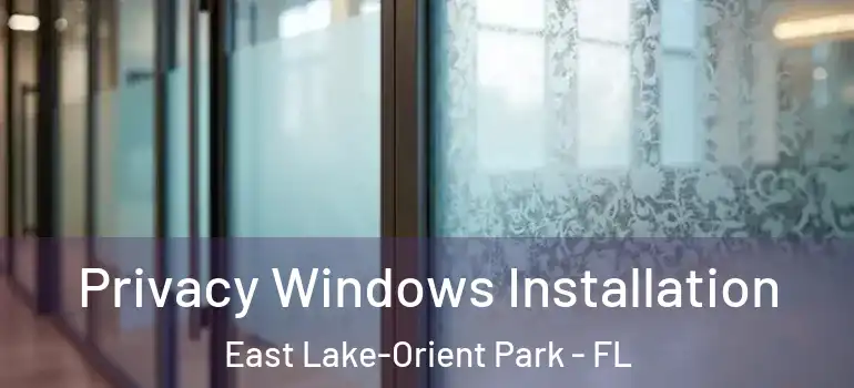Privacy Windows Installation East Lake-Orient Park - FL