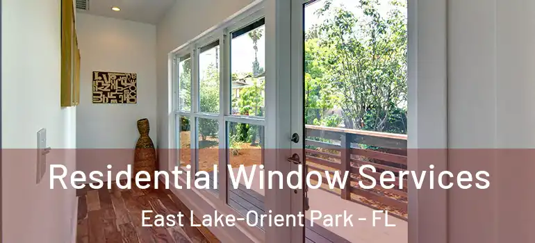 Residential Window Services East Lake-Orient Park - FL