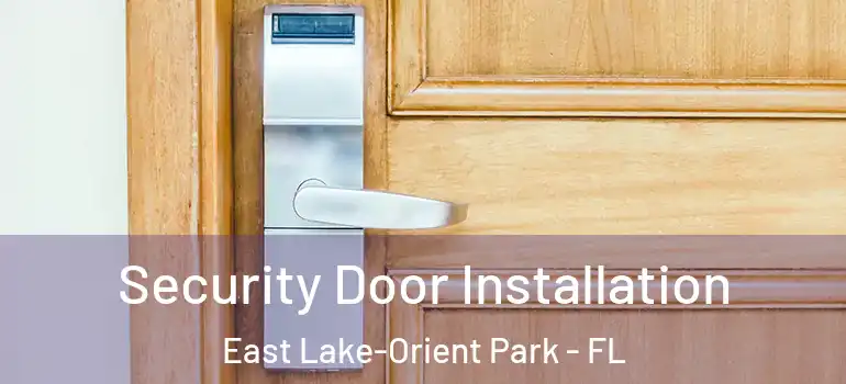 Security Door Installation East Lake-Orient Park - FL