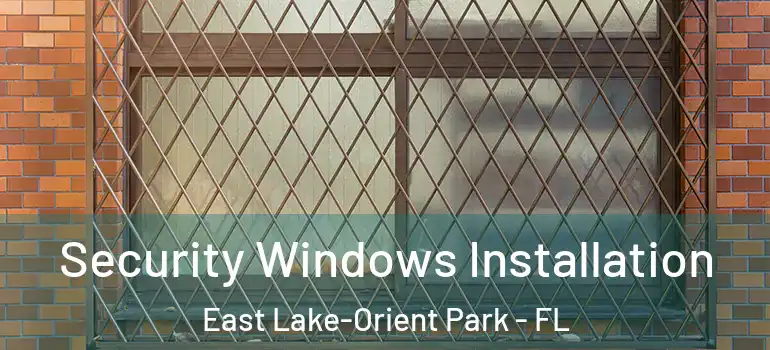 Security Windows Installation East Lake-Orient Park - FL